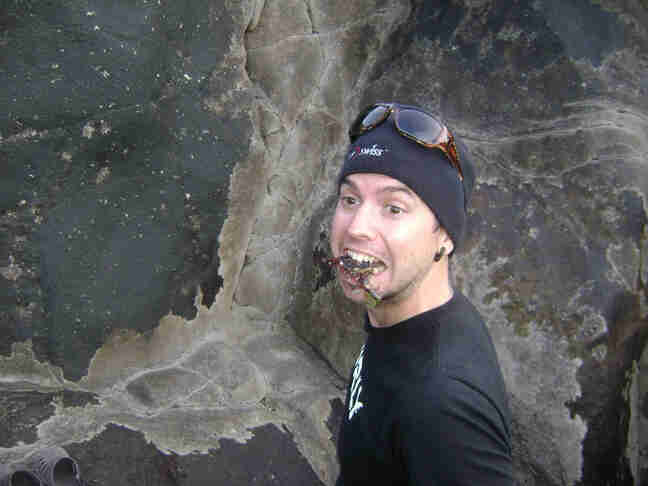 Chest up view of a person wearing a black Surly shirt, front of a rock cliff wall, with a mussel in their mouth